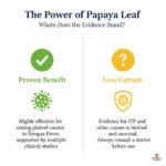 Does papaya leaf actually raise platelets, and in which conditions?