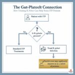 Can H. pylori treatment raise platelet counts in ITP?