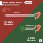 Which is better for iron: spinach or red meat?