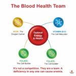 Are B12 or folate more important than iron for vegetarians with anemia?