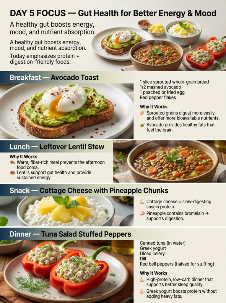Day 5: Gut Health and High Protein Meals for Energy
