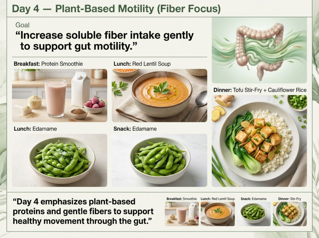 Day 4: Plant-Based Motility (Fiber Focus)