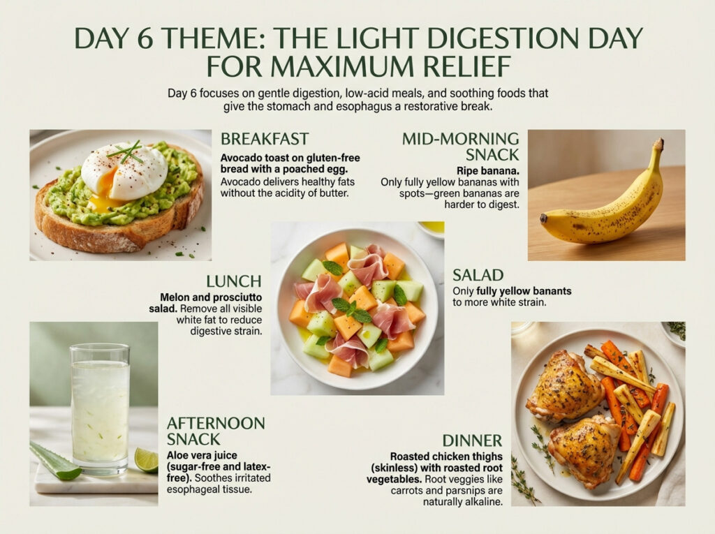 Day 6 Meal Plan: The Light Digestion Day for Maximum Relief
