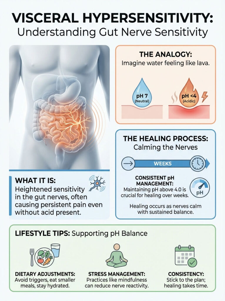 Infographic explaining visceral hypersensitivity with illustrations of the gut, pH levels, and lifestyle tips for management.
