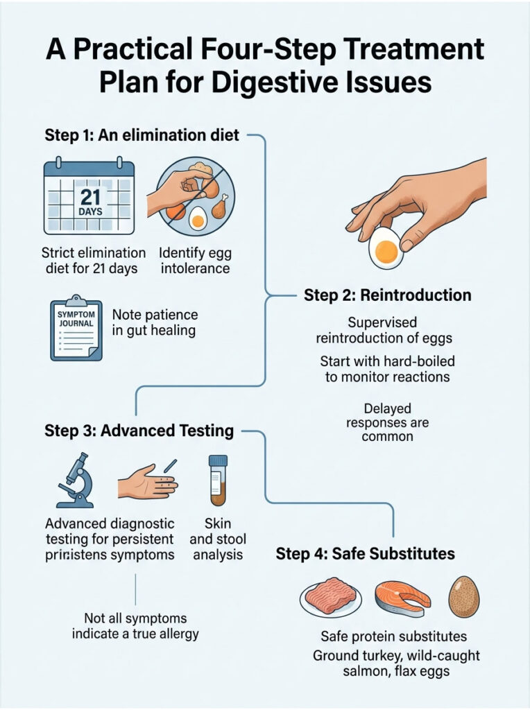 Infographic outlining a four-step treatment plan for digestive issues with icons and text for each step.