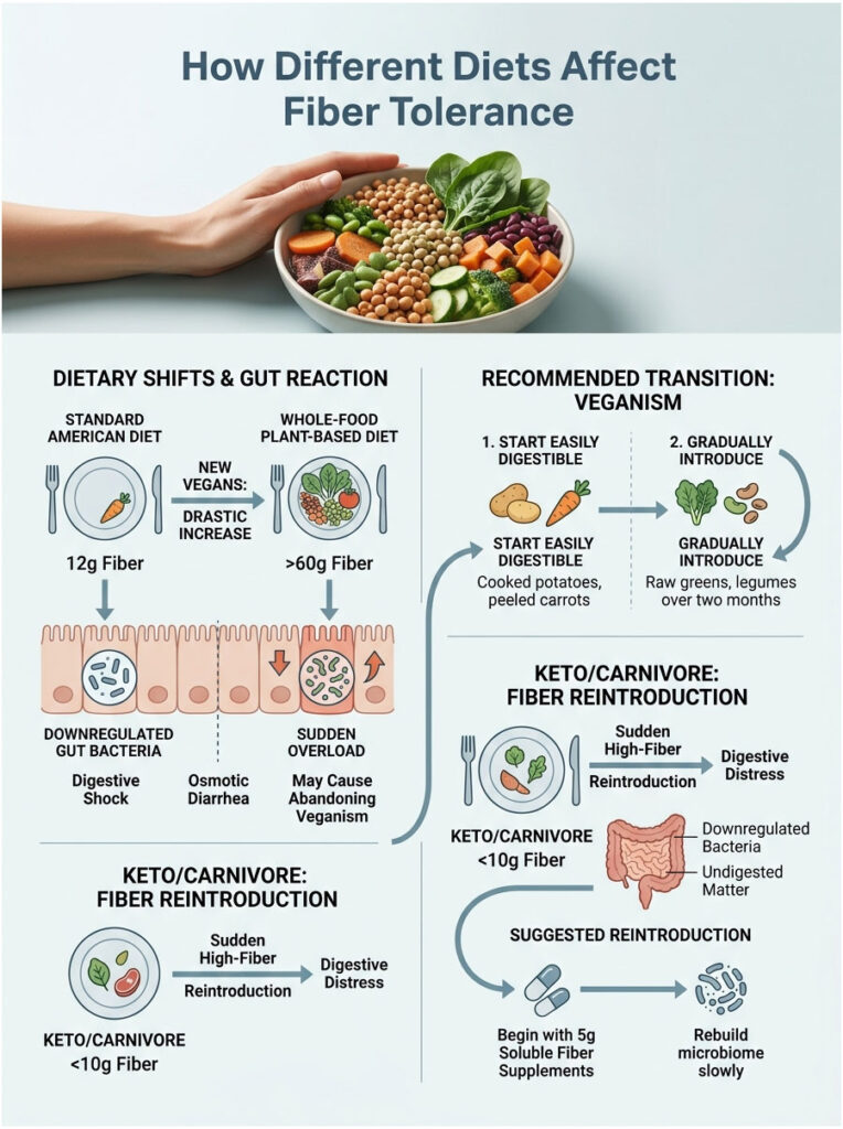 Infographic showing how different diets affect fiber tolerance with charts, icons, and dietary recommendations.