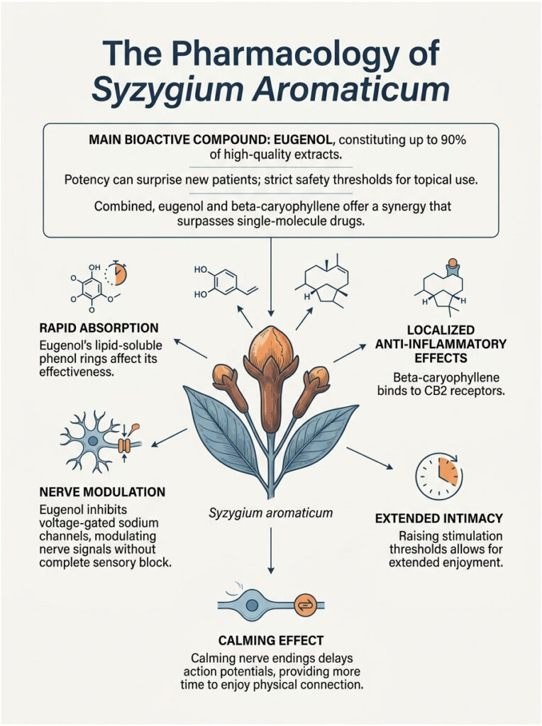 Infographic detailing the pharmacology of Syzygium aromaticum, highlighting eugenol's effects and benefits.