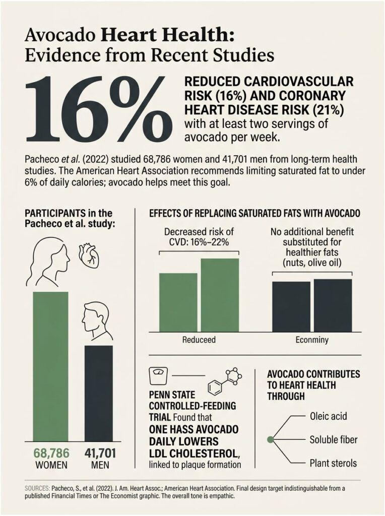 Infographic showing avocado heart health benefits, including 16% reduced cardiovascular risk and study data.