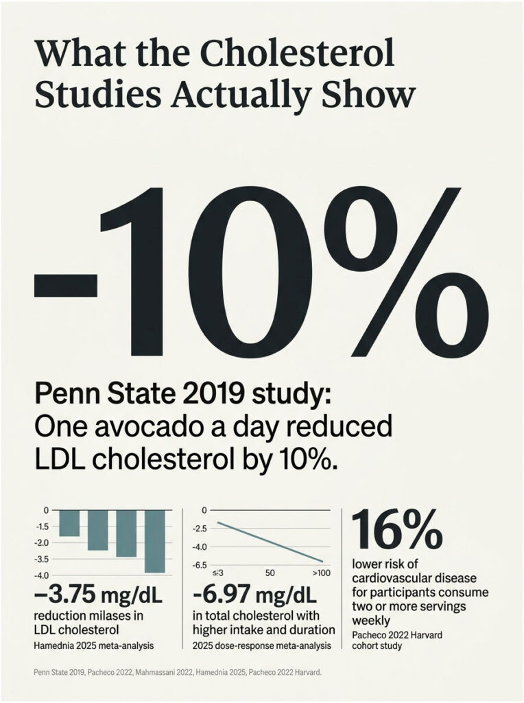 Infographic showing cholesterol studies, highlighting a 10% reduction in LDL cholesterol from avocados and key statistics.