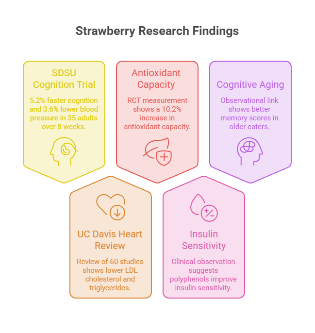 Infographic showing strawberry research findings with four studies on cognition, antioxidant capacity, heart health, and insulin sensitivity.