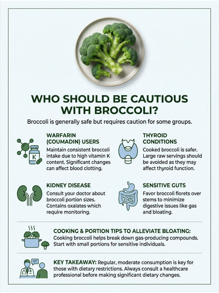 Infographic detailing precautions for consuming broccoli, including groups like Warfarin users and those with kidney disease.