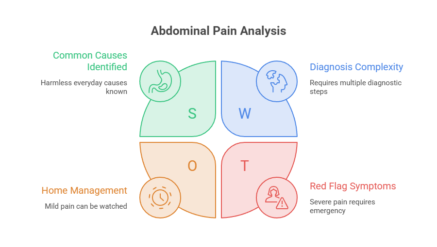 Infographic showing abdominal pain analysis with four quadrants: common causes, home management, diagnosis complexity, and red flag symptoms.