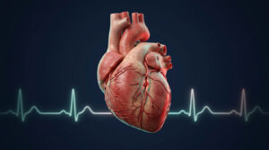 A detailed anatomical heart with visible veins against a dark background and an ECG line below it.