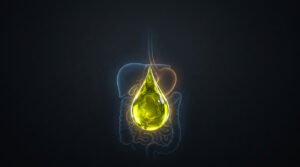 A glowing yellow oil droplet hovers above a transparent outline of a digestive system on a dark background.
