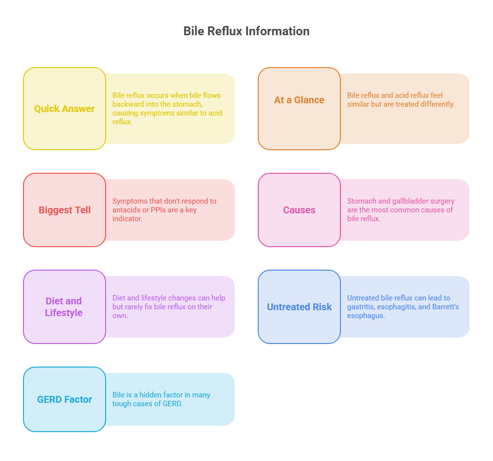 Infographic explaining bile reflux, including causes, symptoms, and lifestyle factors affecting it.