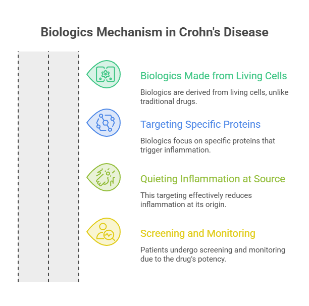 Infographic explaining biologics mechanism in Crohn's disease with four key points and icons.