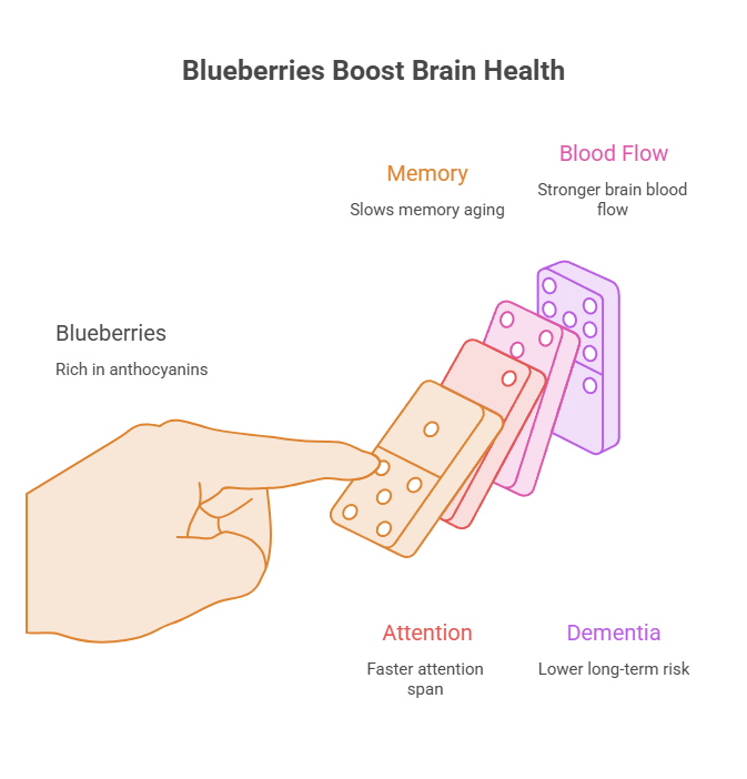 Hand holding a domino while illustrating blueberries' benefits for brain health, including memory and blood flow.