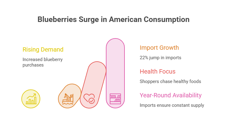 Infographic showing rising demand for blueberries with statistics on imports and health focus.