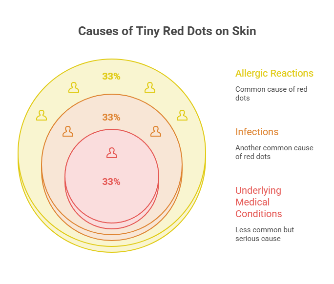 Infographic showing causes of tiny red dots on skin with three categories: Allergic Reactions, Infections, and Underlying Medical Conditions.