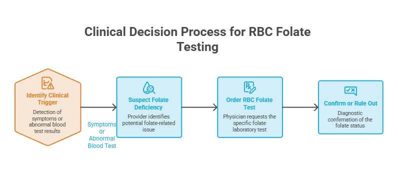 Flowchart illustrating the clinical decision process for RBC folate testing with four key steps and icons.