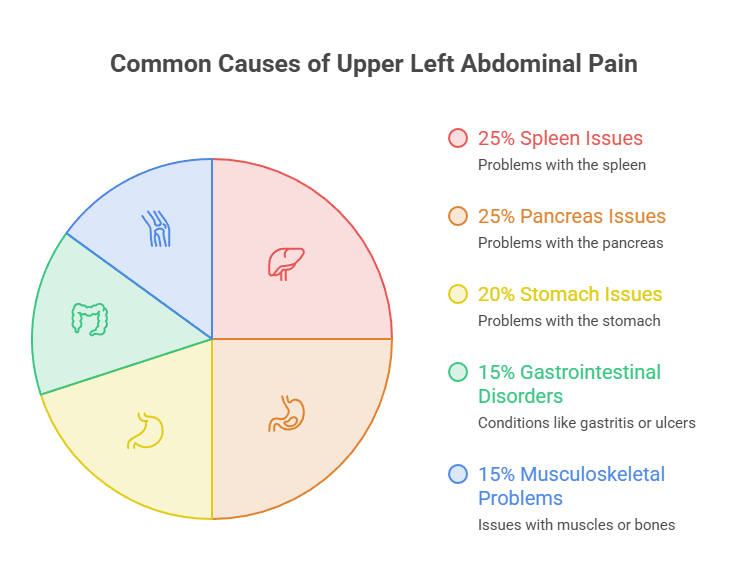 Pie chart showing common causes of upper left abdominal pain with percentages and icons for each cause. Infographic.