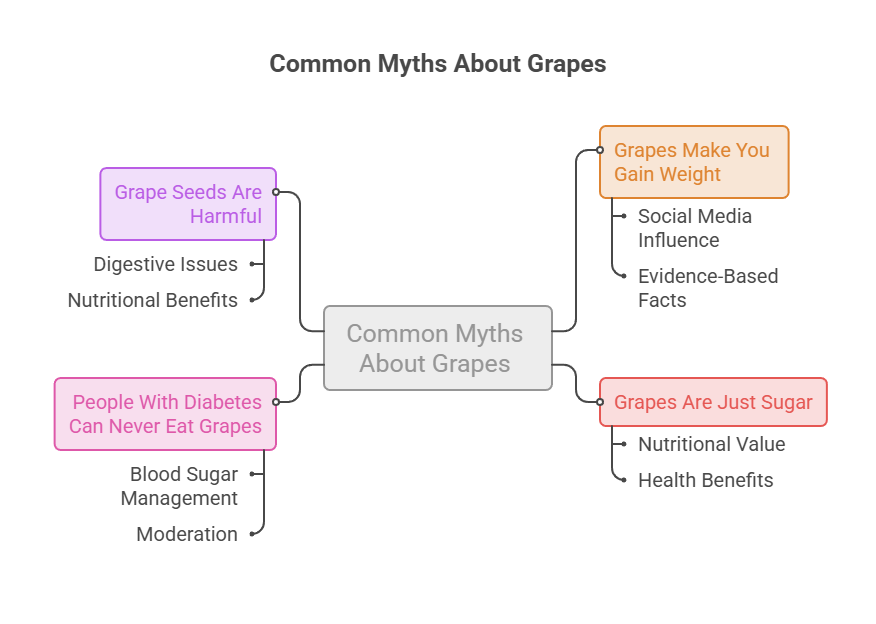 Mind map illustrating common myths about grapes, including grape seeds, weight gain, and diabetes. Infographic.