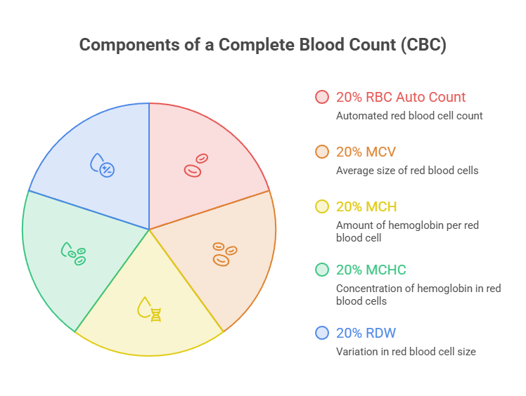 Pie chart showing components of a Complete Blood Count (CBC) with labels and percentages for RBC Auto Count, MCV, MCH, MCHC, and RDW.