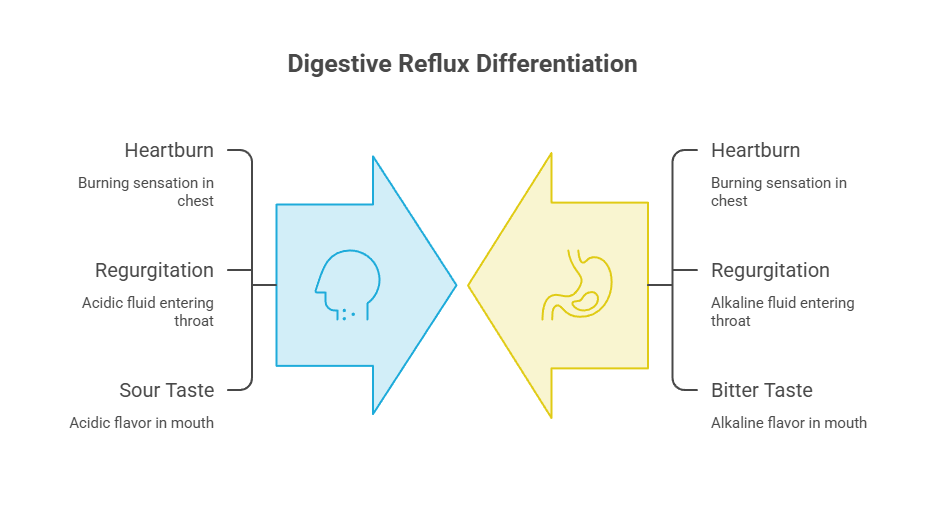 Infographic comparing digestive reflux symptoms: heartburn, regurgitation, sour taste, and bitter taste.