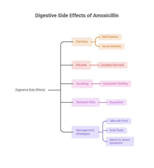 Infographic showing digestive side effects of Amoxicillin, including diarrhea, nausea, vomiting, stomach pain, and management strategies.