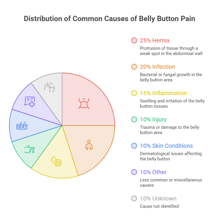 Pie chart showing causes of belly button pain with percentages and descriptions for each cause.