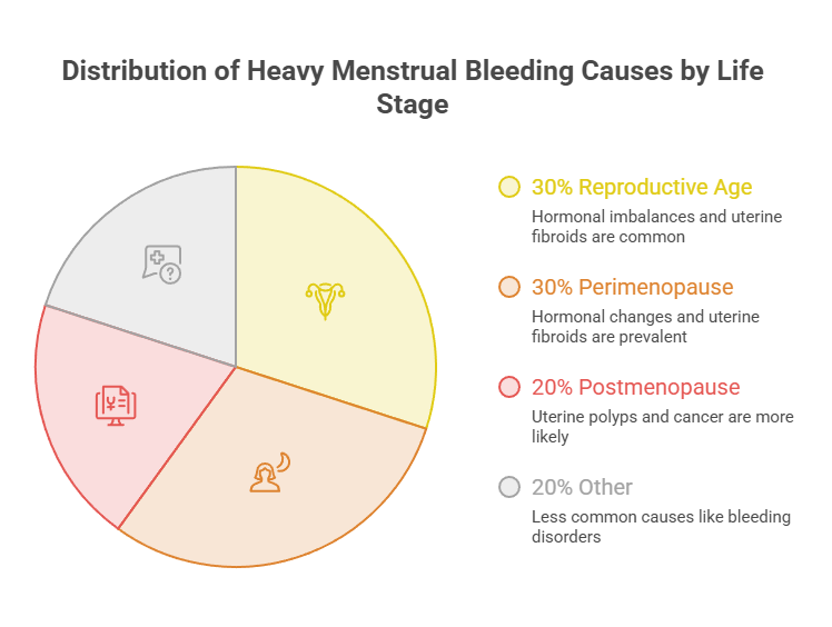 Pie chart showing causes of heavy menstrual bleeding by life stage with percentages and descriptions for each category.