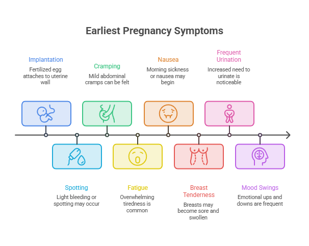 Infographic showing earliest pregnancy symptoms with icons and descriptions for each symptom.
