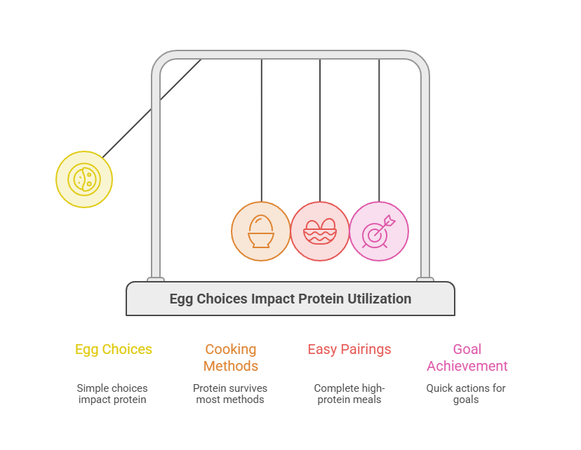 Infographic showing how egg choices impact protein utilization with icons for cooking methods, pairings, and goals.
