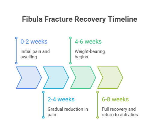 Fibula fracture recovery timeline showing phases from initial pain to full recovery with labeled weeks.