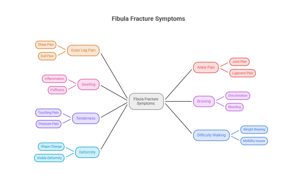 Infographic showing fibula fracture symptoms including pain types, swelling, bruising, and mobility issues.