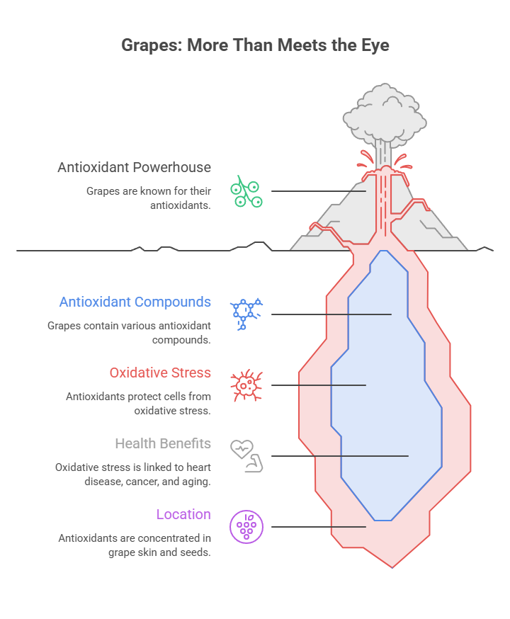 Infographic showing health benefits of grapes, highlighting antioxidants, oxidative stress, and their location in skin and seeds.