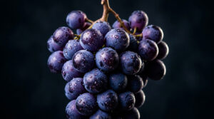A close-up of a bunch of dark purple grapes with water droplets on them against a dark background.