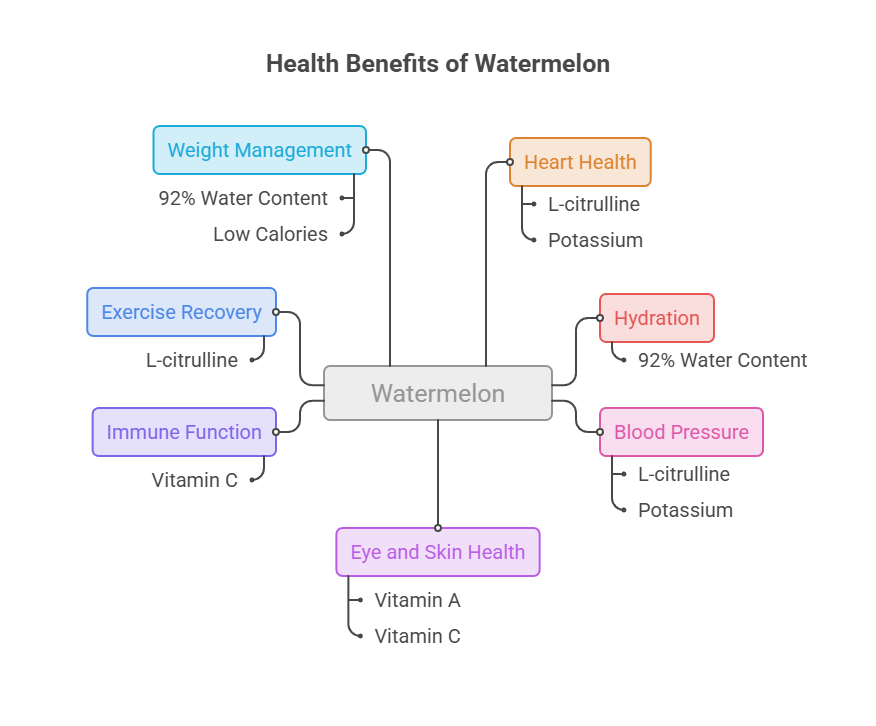 Infographic showing health benefits of watermelon, including hydration, heart health, and exercise recovery.