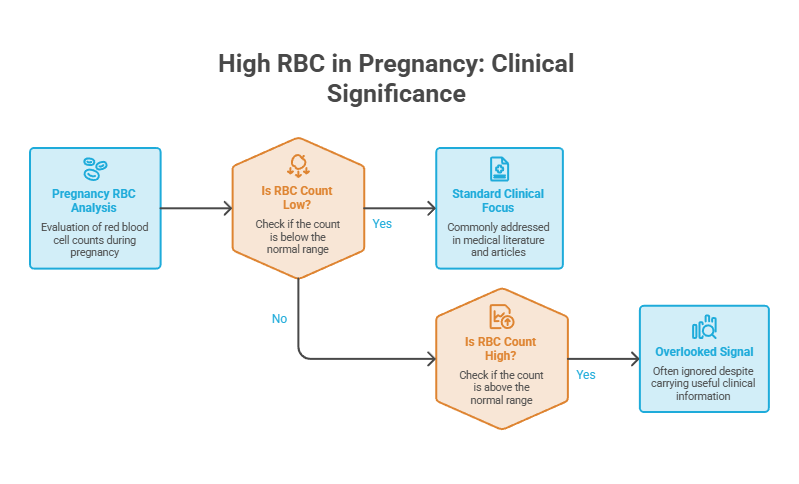 Flowchart detailing high RBC in pregnancy, including analysis, clinical focus, and overlooked signals. Infographic.