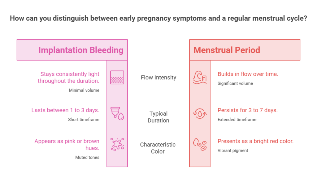 Comparison of implantation bleeding and menstrual period with flow intensity, duration, and color details. Infographic.