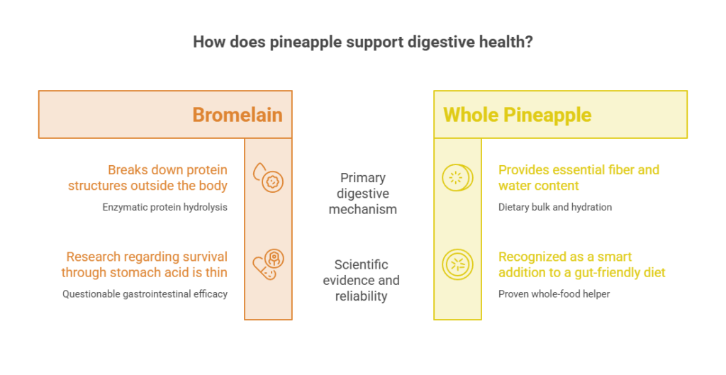 Infographic explaining how pineapple supports digestive health with sections on Bromelain and Whole Pineapple.