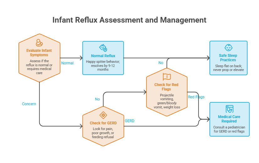 Flowchart detailing infant reflux assessment with symptoms evaluation, normal reflux, red flags, and medical care steps.
