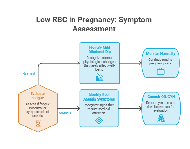 Infographic on low RBC in pregnancy symptom assessment with flowchart detailing fatigue evaluation and medical consultation.