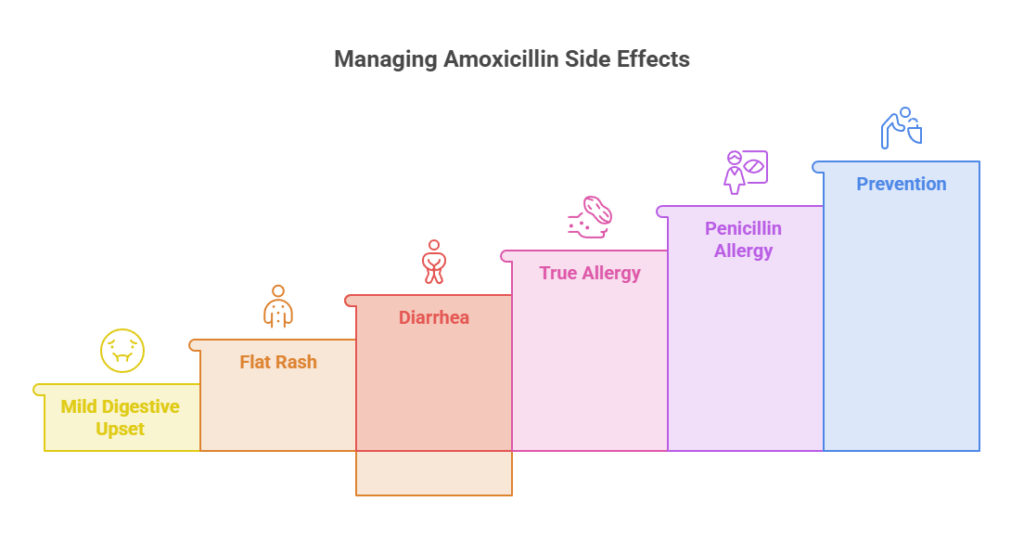 Infographic showing managing amoxicillin side effects with icons for mild digestive upset, flat rash, diarrhea, true allergy, penicillin allergy, and prevention.