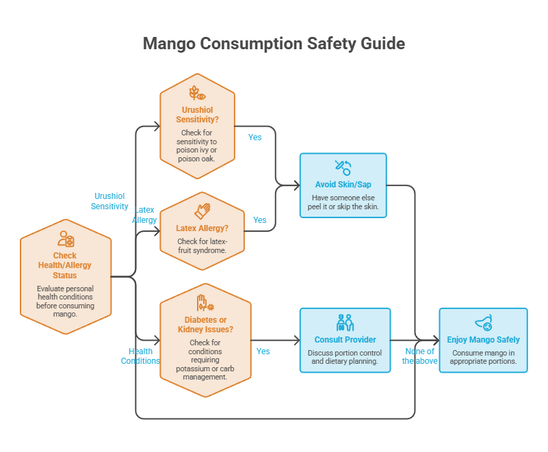 Flowchart guiding mango consumption safety, detailing health checks for urushiol sensitivity, latex allergy, and diabetes. Infographic.
