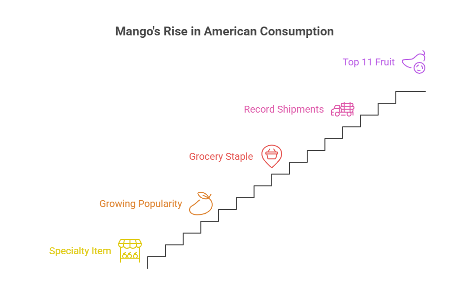 Infographic showing mango's rise in American consumption with steps labeled as specialty item, growing popularity, grocery staple, record shipments, and top 11 fruit.
