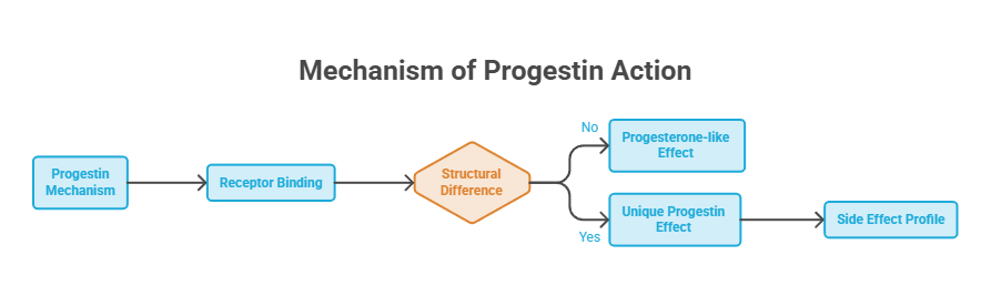 Flowchart illustrating the mechanism of progestin action with labeled steps and decision points. Infographic.