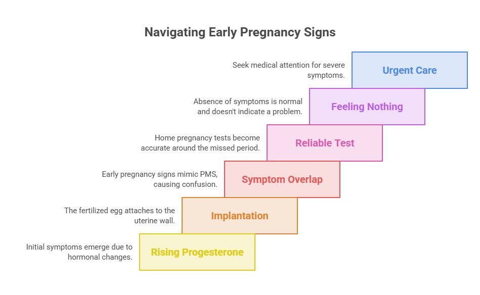 Infographic showing early pregnancy signs with steps including Urgent Care, Feeling Nothing, and Rising Progesterone.