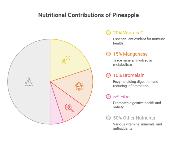 Pie chart showing nutritional contributions of pineapple with labels for Vitamin C, Manganese, Bromelain, Fiber, and Other Nutrients.
