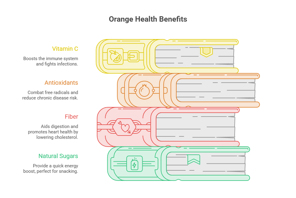 Infographic showing orange health benefits with icons for Vitamin C, Antioxidants, Fiber, and Natural Sugars.
